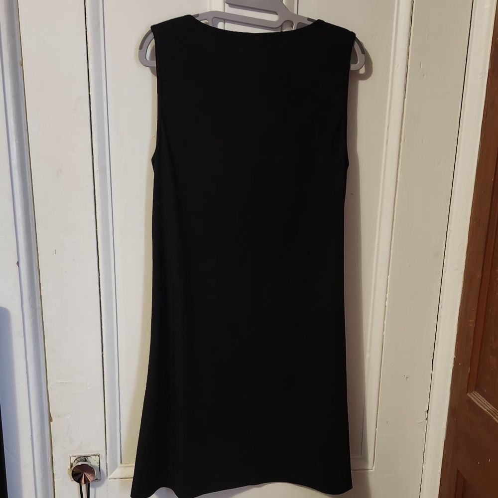 Stylish Black Sleeveless Dress - Picture 4 of 6